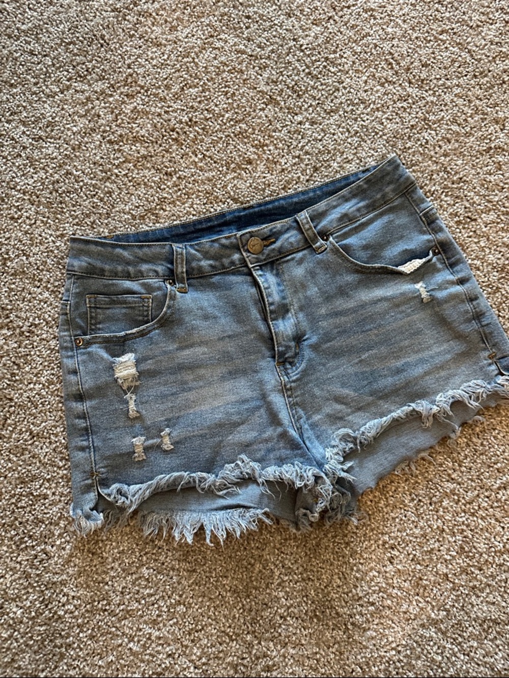 Ripped Light Blue Denim Jean Shorts with Frayed Hem